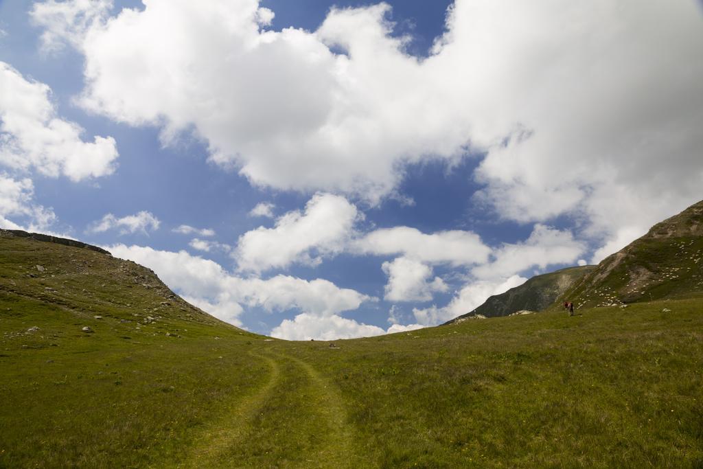 Pensiune Transalpina *